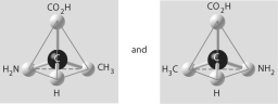 <strong>Three or four of the pairs of structures shown below depict enantiomers (enantiomeric forms)of the same molecule. Which pair, if any, are NOT enantiomers of a single molecule? If each of the pairs depicts enantiomers, choose answer F.</strong> A) B) C) D) E) F)Both illustrations in each of the other answer choices depict enantiomers of the same molecule.