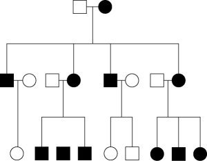 <strong>Figure 15.4 The pedigree in Figure 15.4 shows the transmission of a trait in a particular family. Based on this pattern of transmission, the trait is most likely</strong> A)mitochondrial. B)autosomal recessive. C)sex-linked dominant. D)sex-linked recessive. E)autosomal dominant.