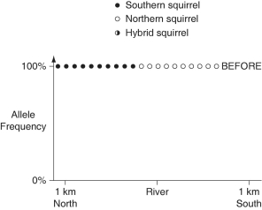 The following questions refer to the paragraph and graphs below. In a hypothetical situation, the National Park Service, which administers Grand Canyon National Park in Arizona, builds a footbridge over the Colorado River at the bottom of the canyon. The footbridge permits interspersal of two closely related antelope squirrels. Previously, one type of squirrel had been restricted to the terrain south of the river, and the other type had been restricted to terrain on the north side of the river. Immediately before and ten years after the bridge's completion, ten antelope squirrels from both sides of the river were collected, blood samples were taken, and frequencies of alleles unique to the two types of antelope squirrels were determined (see graphs below). -Upon undergoing change, which of these genes is most likely to result in speciation while a geographic barrier separates two populations of a flowering-plant species?
