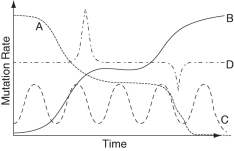 Which curve in the graph below best depicts the way that mutation rate varies over time in a gene that can serve as a reliable molecular clock?