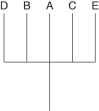 <strong>The following questions refer to the table below, which compares the % sequence homology of four different parts (2 introns and 2 exons) of a gene that is found in five different eukaryotic species. Each part is numbered to indicate its distance from the promoter (e.g., Intron I is that closest to the promoter). The data reported for Species A were obtained by comparing DNA from one member of species A to another member of Species A. \quad \quad \quad \quad \quad \quad \quad \text { \%/ Sequence Homology } \begin{array} { l l l l l } \text { Species } & \text { Intron I } & \text { Exon I } & \text { Intron VI } & \text { Exon V } \\ \text { A } & 100 \% & 100 \% & 100 \% & 100 \% \\ \text { B } & 98 \% & 99 \% & 82 \% & 96 \% \\ \text { C } & 98 \% & 99 \% & 89 \% & 96 \% \\ \mathrm { D } & 99 \% & 99 \% & 92 \% & 97 \% \\ \mathrm { E } & 98 \% & 99 \% & 80 \% & 94 \% \end{array} -Based on the tabular data, and assuming that time advances vertically, which cladogram (a type of phylogenetic tree)is the most likely depiction of the evolutionary relationships among these five species?</strong> A) B) C) D)