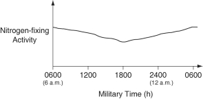 <strong>The data were collected from the heterocytes of a nitrogen-fixing cyanobacterium inhabiting equatorial ponds. Study the graph below and choose the most likely explanation for the shape of the curve.  </strong> A)Enough O₂ enters heterocytes during hours of peak photosynthesis to have a somewhat-inhibitory affect on nitrogen fixation. B)Light-dependent reaction rates must be highest between 1800 hours and 0600 hours. C)Atmospheric N₂ levels increase at night because plants are no longer metabolizing this gas, so are not absorbing this gas through their stomata. D)Heterocyte walls become less permeable to N₂ influx during darkness. E)The amount of fixed nitrogen that is dissolved in the pond water in which the cyanobacteria are growing peaks at the close of the photosynthetic day (1800 h). <div style=padding-top: 35px> 