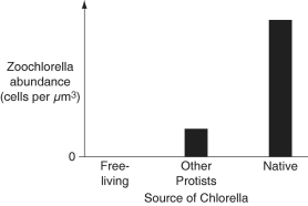 <strong>The following data were collected two weeks following reintroduction of Chlorella. (NOTE: Native refers to Chlorella originally taken from P. bursaria cytoplasm.) Figure 28.2: Abundance of zoochlorellae in P. bursaria cytoplasm two weeks after reintroduction -The researchers decided to perform the same experiment over again, only this time, withdrawing P. bursaria samples every other day for testing to get a better picture of the fate of each Chlorella strain over time. Which graph below is most consistent with the results depicted in Figure 28.2, assuming that P. bursaria ingests the various Chlorella strains indiscriminately? Key: \text { Native} \quad \text { Other Protists } \quad \text { Free-living } </strong> A) B) C) D)