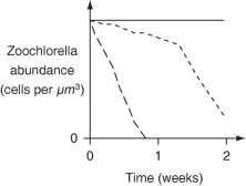 <strong>The following data were collected two weeks following reintroduction of Chlorella. (NOTE: Native refers to Chlorella originally taken from P. bursaria cytoplasm.) Figure 28.2: Abundance of zoochlorellae in P. bursaria cytoplasm two weeks after reintroduction -The researchers decided to perform the same experiment over again, only this time, withdrawing P. bursaria samples every other day for testing to get a better picture of the fate of each Chlorella strain over time. Which graph below is most consistent with the results depicted in Figure 28.2, assuming that P. bursaria ingests the various Chlorella strains indiscriminately? Key: \text { Native} \quad \text { Other Protists } \quad \text { Free-living } </strong> A) B) C) D)