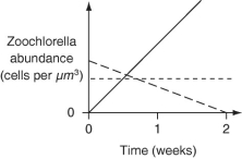 <strong>The following data were collected two weeks following reintroduction of Chlorella. (NOTE: Native refers to Chlorella originally taken from P. bursaria cytoplasm.) Figure 28.2: Abundance of zoochlorellae in P. bursaria cytoplasm two weeks after reintroduction -The researchers decided to perform the same experiment over again, only this time, withdrawing P. bursaria samples every other day for testing to get a better picture of the fate of each Chlorella strain over time. Which graph below is most consistent with the results depicted in Figure 28.2, assuming that P. bursaria ingests the various Chlorella strains indiscriminately? Key: \text { Native} \quad \text { Other Protists } \quad \text { Free-living } </strong> A) B) C) D)