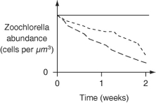 <strong>The following data were collected two weeks following reintroduction of Chlorella. (NOTE: Native refers to Chlorella originally taken from P. bursaria cytoplasm.) Figure 28.2: Abundance of zoochlorellae in P. bursaria cytoplasm two weeks after reintroduction -The researchers decided to perform the same experiment over again, only this time, withdrawing P. bursaria samples every other day for testing to get a better picture of the fate of each Chlorella strain over time. Which graph below is most consistent with the results depicted in Figure 28.2, assuming that P. bursaria ingests the various Chlorella strains indiscriminately? Key: \text { Native} \quad \text { Other Protists } \quad \text { Free-living } </strong> A) B) C) D)