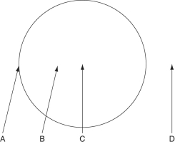 Figure 31.1 below depicts the outline of a large fairy ring that has appeared overnight in an open meadow, as viewed from above. The fairy ring represents the furthest advance of this mycelium through the soil. Locations A-D are all 0.5 meters below the soil surface. Responses may be used once, more than once, or not at all. Figure 31.1 At which location should one find the lowest concentration of fungal enzymes, assuming that the enzymes do not diffuse far from their source, and that no other fungi are present in this habitat?