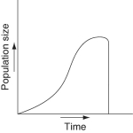 <strong>Which of the following graphs illustrates the growth curve of a small population of rodents that has grown to reach a static carrying capacity?</strong> A) B) C) D) E)