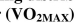 Use the following distribution for the next questions. The mean maximum aerobic pow ) score for women ages 20 to 29 is 36 ml/min/kg with a standard deviation of 7 ml/min/kg. -Find the probability of a woman between the ages of 20 to 29 having a score of between 30 ml/min/kg and 42 ml/min/kg.