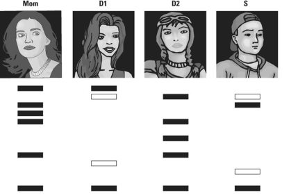 Please read the following scenario then answer the following question(s). Molecular biologists have perfected DNA fingerprinting so that it is possible to use the technique to provide evidence to solve crimes and even identify a child's parents. Recently, a U.S. immigrant asked the U.S. Citizenship and Immigration Services for permission to have her young daughter who was living with grandparents in their homeland join her.Her request was denied because there was an apparent mix-up with the child's birth certificate and it could not be used as proof of maternity. Proof is required in cases such as this. The mother requested DNA fingerprinting to make her case. Samples of DNA were taken from the mother (Mom) and daughter (D1) as well as from another daughter (D2) and a son (S) living in the United States with her. Tandem repeat analysis was run on the four samples, and the results are shown here. -The results indicate that ______.
