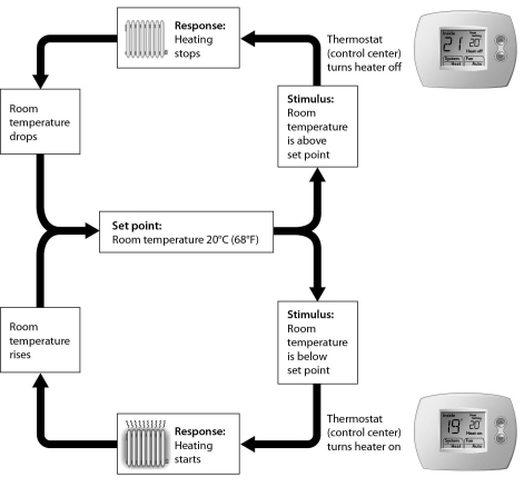 Examine the figure below,which shows negative feedback in a thermostat.If the room becomes too warm,the next thing that will occur is ______.