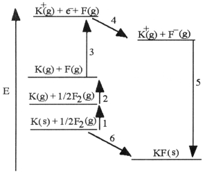 <strong>The diagram below is the Born-Huber cycle for the formation of crystalline potassium fluoride. Which energy change corresponds to the electron affinity of fluorine?</strong> A)2 B)5 C)4 D)1 E)6