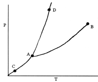 <strong> On the phase diagram shown above, the coordinates of point ________ correspond to the triple point.</strong> A)A B)B C)C D)D E)E