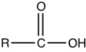 <strong>The general formula for an ether is ________.</strong> A) B) C) D) E)