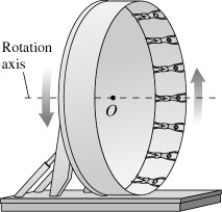 <strong>In an amusement park ride,passengers stand inside an 8 m radius cylinder.Initially,the cylinder rotates with its axis oriented along the vertical.After the cylinder has acquired sufficient speed,it tilts into a vertical plane,that is,the axis tilts into the horizontal,as shown in the figure.Suppose that,once the axis has tilted into the horizontal,the ring rotates once every 4.5 s.If a rider's mass is 40 kg,with how much force does the ring push on her at the top of the ride? </strong> A)230 N B)620 N C)1000 N D)390 N