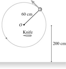 <strong>A 90 g bead on a 60 cm long string is swung in a vertical circle about a point 200 cm above the floor.The tension in the string when the bead is at the very bottom of the circle is 2.2 N.A very sharp knife is suddenly inserted,as shown in the figure,to cut the string directly below the point of support.How far to the right of the center of the circle does the ball hit the floor? </strong> A)160 cm B)200 cm C)240 cm D)190 cm