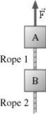 <strong>The figure shows two 1.0 kg blocks connected by a rope.A second rope hangs beneath the lower block.Both ropes have a mass of 250 g.The entire assembly is accelerated upward at 5.5 m/s<sup>2</sup> by force .What is the tension at the bottom end of rope 1? </strong> A)19 N B)23 N C)38 N D)6.9 N