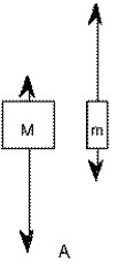 <strong>Two unequal masses M and m are connected by a light cord passing over a pulley of negligible mass.When released,the system accelerates.Friction is negligible. Which figure below gives the correct free-body force diagrams for the two masses in the moving system?</strong> A) B) C) D)
