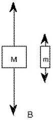 <strong>Two unequal masses M and m are connected by a light cord passing over a pulley of negligible mass.When released,the system accelerates.Friction is negligible. Which figure below gives the correct free-body force diagrams for the two masses in the moving system?</strong> A) B) C) D)