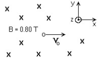<strong> A uniform magnetic field of magnitude 0.80 T in the negative z-direction is present in a region of space.A uniform electric field is also present.In the figure,the electric field is set at 20,800 V/m in the positive y-direction.An electron is projected with an initial velocity vo = 2.6 × 10<sup>4</sup> m/s.in the positive x-direction.The y-component of the initial force on the electron is closest to:</strong> A)- 7 × 10<sup>-15</sup> N B)+ 7 × 10<sup>-15</sup> N C)- 3 × 10<sup>-15</sup> N D)+ 3 × 10<sup>-15 </sup>N E)zero