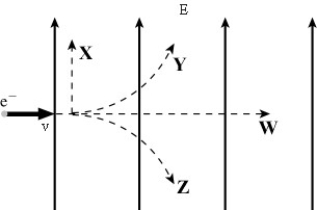 <strong>An electron is initially moving to the right when it enters a uniform electric field directed upwards.Which trajectory shown below will the electron follow? </strong> A)Trajectory W B)Trajectory X C)Trajectory Y D)Trajectory Z