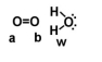 <strong>Given the following diagram, describe what happens electronically between these two molecules. </strong> A)Oxygen A becomes slightly positively charged due to the protons on the water molecule. B)Oxygen B becomes slightly positively charged due to the protons on the water molecule. C)Oxygen A becomes slightly negatively charged due to the oxygen molecule. D)Hydrogens on oxygen W becomes slightly positively charged due to the oxygen molecule. E)none of the above