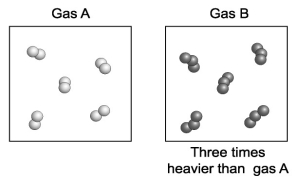 <strong>Gas A is composed of diatomic molecules (two atoms per molecule)of a pure element. Gas B is composed of triatomic molecules (three atoms per molecule)of another pure element. A volume of gas B is found to be three times more massive than an equal volume of gas A. How does the mass of an atom of gas B compare with the mass of an atom of gas A? </strong> A)An atom of gas B is six times the mass of an atom of gas A. B)An atom of gas B is three times the mass of an atom of gas A. C)An atom of gas B is two times the mass of an an atom of gas A. D)An atom of gas B is equivalent to the mass of an atom of gas A.