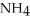 <strong>What atom in the ammonium ion, <sub>⁺</sub> bears the positive charge?</strong> A)the nitrogen atom B)the hydrogen atom C)Neither atom bears a positive charge. D)Nitrogen and hydrogen equally share the positive charge.