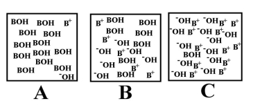 <strong>Arrange the following images of an aqueous base solution in order of increasing base strength: </strong> A)A, B, C B)B, C, A C)C, B, A D)A, C, B E)All are equally strong.