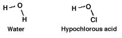 <strong>How readily an acid donates a hydrogen ion is a function of how well the acid is able to accommodate the resulting negative charge it gains after donating. Which should be the stronger acid: water or hypochlorous acid? Why? </strong> A)Water, because O-H would accommodate the resulting negative charge better than O-Cl. B)Hypochlorous acid, because the resulting negative charge is spread over a greater number of atoms. C)Neither, since both molecules are monoprotic and donate the same H<sup>+</sup> ion, making their the same. D)Water, because the hydrogen bonding in water gives it the edge in the ability to accommodate the resulting negative charge.