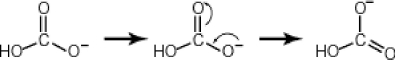 <strong>Some molecules are able to stabilize a negative charge by passing it from one atom to the next by a flip-flopping of double bonds. This occurs when the negative charge is one atom away from an oxygen double bond as follows. Note that the curved arrows indicate the movement of electrons: Why then is sulfuric acid so much stronger an acid than carbonic acid? </strong> A)In sulfuric acid, the negative charge is able to flip-flop to two additional oxygens rather than only one as is the case for carbonic acid. B)The two double bonded oxygens in tend to destabilize the single bonded oxygens once the hydrogen ions form, thus making sulfuric acid more acidic. C)Since carbonic acid has resonance stabilization and sulfuric acid does not, sulfuric acid is less stable and more acidic. D)The acid strength of two comparative molecules is directly proportional to the number of number of oxygens directly bonded to the central atom. Sulfuric acid, having four such oxygens, is more acidic.