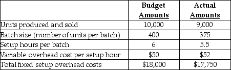 Answer the following question(s) using the information below. Lukehart Industries Inc. produces air purifiers in batches. To manufacture a batch of the purifiers Lukehart Inc. must setup the machines and assembly line tooling. Setup costs are batch-level costs because they are associated with batches rather than individual units of products. A separate Setup Department is responsible for setting up machines and tooling for different models of the air purifiers. Setup overhead costs consist of some costs that are variable and some costs that are fixed with respect to the number of setup hours. The following information pertains to June 2012: -Calculate the rate variance for variable setup overhead costs.
