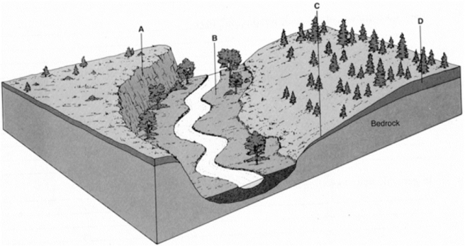 Carefully examine the illustration below and the features labeled A through D. Give a letter (A, B, C, or D)for each answer below.Letters may be used more than once. a)At which location would the thickest residual soil develop? ________ b)At which location would the greatest amount of frost wedging occur? ________ c)At which location would the thickest transported soil develop? ________ d)At which location would there be the most unconsolidated deposits? ________