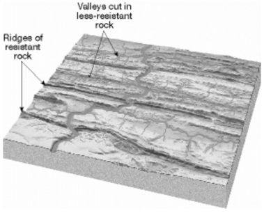 On the spaces provided below each illustration, name the type of drainage pattern that is illustrated. a)______________________________ b)______________________________ c)______________________________ d)_____________________________