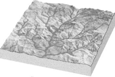 On the spaces provided below each illustration, name the type of drainage pattern that is illustrated. a)______________________________ b)______________________________ c)______________________________ d)_____________________________
