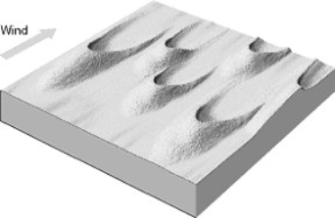 On the blank spaces provided beside each illustration, write the name of the type of dunes shown in the illustration. a)______________________________ b)______________________________ c)______________________________ d)______________________________ e)______________________________ f)______________________________