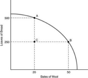 -Refer to the above figure.Which one of the following statements is true with regard to the economy depicted in the graph?
