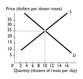 -In the figure above, a price of $15 per dozen roses results in