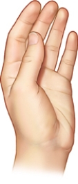 The nursing instructor is demonstrating,to a group of nursing students,the proper technique for assessing a client for fremitus.Which part of the hand will the instructor use to demonstrate proper technique?