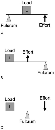 <strong> Figure 10.1 Using Figure 10.1, match the following:</strong> A) C B) A C) B The action of lifting a shovel of snow.
