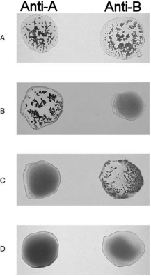 Figure 17.2Using Figure 17.2, match the following: -The formed element can kill parasitic worms.