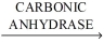 In the reaction shown,identify the role of each of the participants. CO<sub>2</sub> + H<sub>2</sub>O   H<sub>2</sub>CO<sub>3</sub> A.enzyme B.substrate(s) C.product(s) CO<sub>2</sub> + H<sub>2</sub>O<div style=padding-top: 35px> 