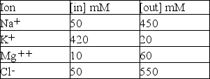 You and your fellow deep-sea scientists have discovered a new form of marine invertebrate,and are anxious to determine the similarities and differences to animals already characterized.Chemical analysis reveals the following concentrations of permeable cations:   Nernst equation: E<sub>ion</sub> = 61/z × log [ion]<sub>out</sub>/[ion]<sub>in</sub> Control of the neuromuscular junction in this new invertebrate is found to involve dual innervation,where one motor neuron secretes an excitatory neurotransmitter and another secretes an inhibitory neurotransmitter onto the muscle.How does this compare to the human neuromuscular junction? Propose three different types of inhibitory receptors/channels that would produce inhibition of the invertebrate muscle,specifying ion and direction of ion flow.For each ion,calculate the equilibrium potential.What similarity do you notice in the equilibrium potentials of the ions involved,and how is that significant? How may inhibition be accomplished in human muscle?<div style=padding-top: 35px> 