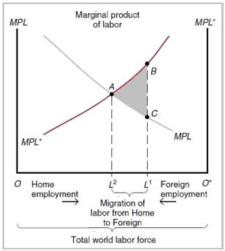 <strong> Refer to the graph above. Points A, B, and C represent ________, ________, and ________, respectively.</strong> A) equilibrium wage rate after migration from home to foreign has occurred; the wage rate in foreign before migration; the wage rate in home before migration B) equilibrium wage rate after migration from foreign to home has occurred; the wage rate in home before migration; the wage rate in foreign before migration C) the wage rate in home before migration; the wage rate in home after migration; the wage rate in foreign after migration D) the global wage rate before migration; the wage rate in foreign after migration; the wage rate in home after migration E) the global wage rate before migration; the wage rate in home after migration; the wage rate in foreign after migration