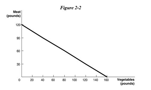 <strong>Figure 2-2. Refer to Figure 2-2.Suppose Mendonca is currently producing 60 pounds of vegetables per period.How much meat is it also producing,assuming that resources are fully utilized?</strong> A) 45 pounds of meat B) 75 pounds of meat C) 80 pounds of meat D) 100 pounds of meat