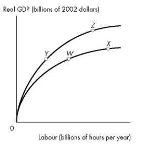 <strong>Use the figure below to answer the following question. Figure 22.3.1 Refer to Figure 22.3.1.The country of Kemper is on its aggregate production function at point W in the above figure.If the population increases with no change in capital or technology,the economy will</strong> A)move to point such as Y. B)remain at point W. C)move to point such as X. D)move to point such as Z. E)either remain at point W or move to point X.