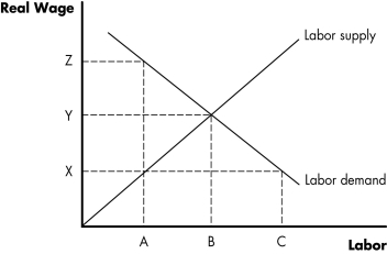 <strong>Figure 7.1 Refer to Figure 7.1. Start from initial equilibrium. If firms increase their capital stock, the new real wage could be ________ and the new amount of labor employed could be ________.</strong> A) Z; A B) Z; C C) X; A D) X; C