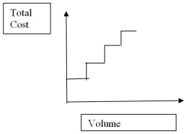 <strong>Which type of cost behavior is indicated by the following graph? </strong> A)Fixed B)Step C)Mixed D)Variable