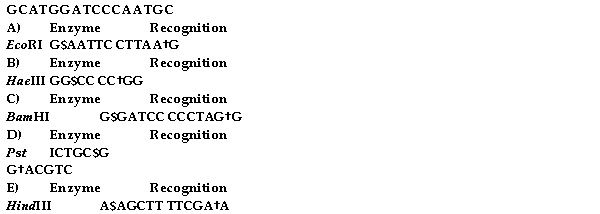Which enzyme would cut this strand of DN?