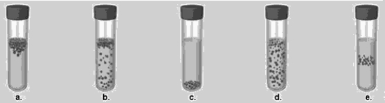 <strong>Figure 6.3 In Figure 6.3, which tube shows the expected growth pattern for a facultative anaerobe?</strong> A) a B) b C) c D) d E) e